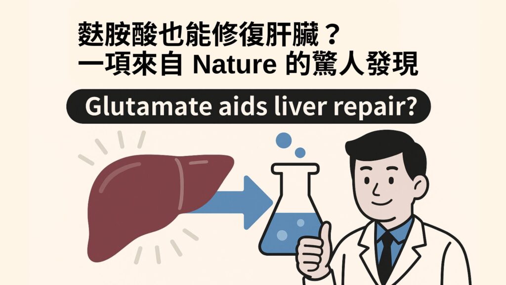 麩胺酸也能修復肝臟？一項來自 Nature 的驚人發現